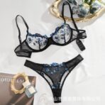 floral-embroidery-transparent-lingerie-set