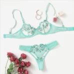 imported-transparent-bra-set-bd